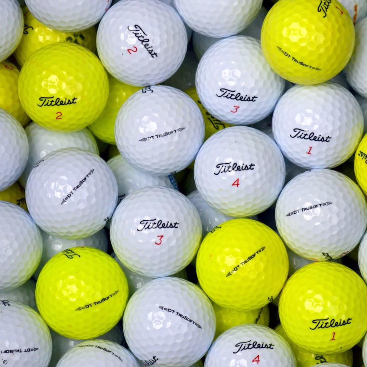 TITLEIST DT TruSoft Lakeballs
