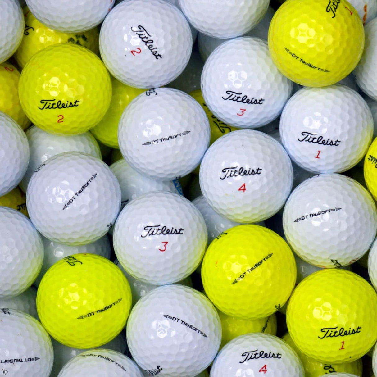 TITLEIST DT TruSoft Lakeballs